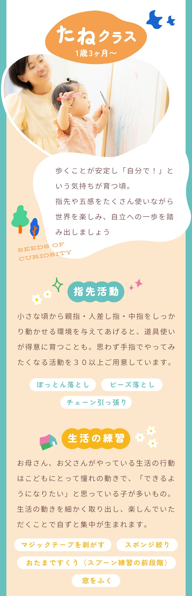 たねクラス（1歳3か月から）の活動内容