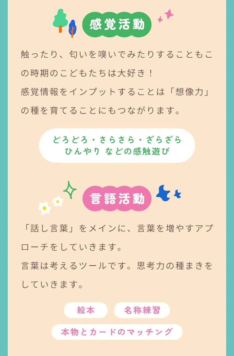 たねクラスの感覚活動と言語活動