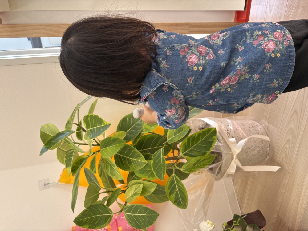 開校から2週間🌱